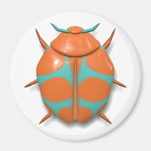 Tante zomerjongen van insecteninsect