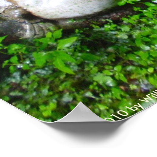 Tanuki-beelden Poster (Hoek)