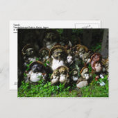 Tanuki Briefkaart (Voorkant / Achterkant)