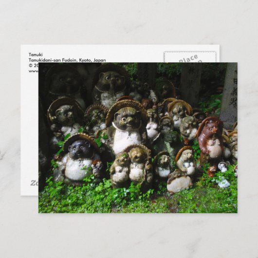 Tanuki Briefkaart (Voorkant / Achterkant)