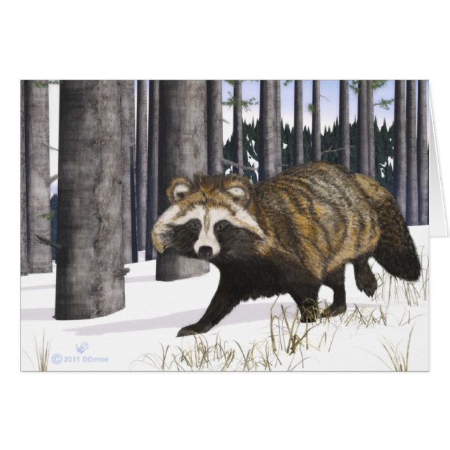 Tanuki - Raccoon Dog (Voorkant Horizontaal)