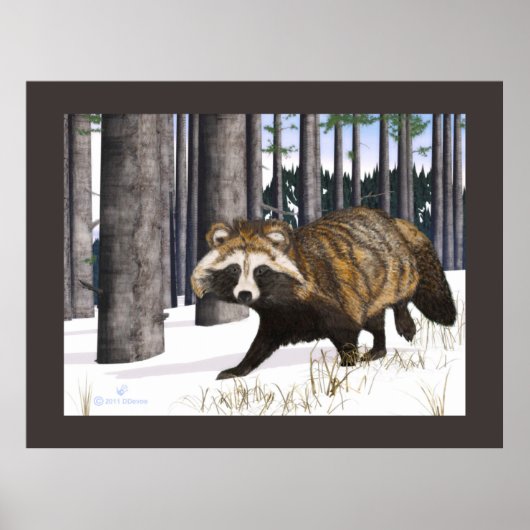 Tanuki - Raccoon Dog Poster (Voorkant)