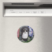 Tanukisan2, ik wacht, ik wacht magneet (Insitu (Vaatwasser))