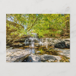 Tanyard Creek Waterval in de Herfst Briefkaart