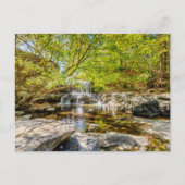 Tanyard Creek Waterval in de Herfst Briefkaart (Voorkant)