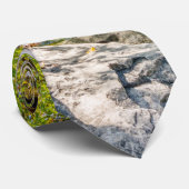 Tanyard Creek waterval in de Herfst Stropdas (Opgerold)