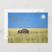 Tanzania Briefkaart (Voorkant / Achterkant)