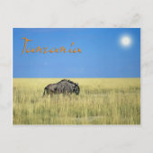 Tanzania Briefkaart (Voorkant)