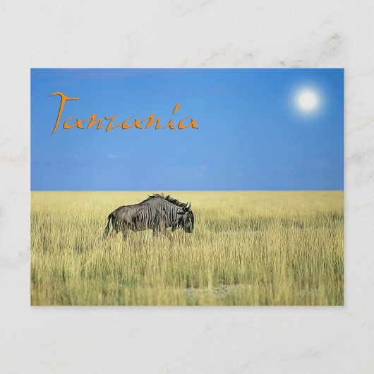 Tanzania Briefkaart (Voorkant)