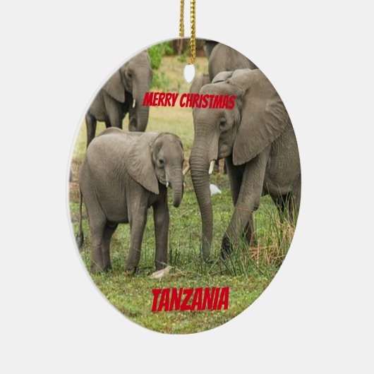 Tanzania Custom Lion / Elephant Ornament (Rechts)