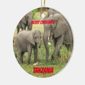 Tanzania Custom Lion / Elephant Ornament (Links)