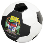 tanzania embleem voetbal (Drie kwart)