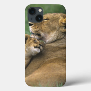 Tanzania, krater van Ngorongoro. Afrikaanse leeuwe Case-Mate iPhone Case