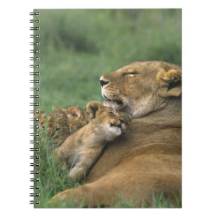 Tanzania, krater van Ngorongoro. Moeder van Afrika Notitieboek