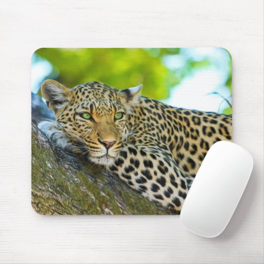 Tanzania Leopard-Muismat Muismat (Met muis)