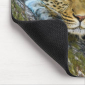 Tanzania Leopard-Muismat Muismat (Hoek)