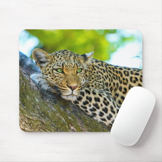 Tanzania Leopard-Muismat Muismat (Met muis)