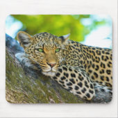 Tanzania Leopard-Muismat Muismat (Voorkant)