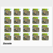 Tanzania Leopard Stickers (Vel)