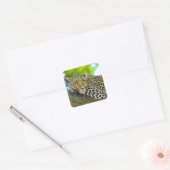 Tanzania Leopard Stickers (Envelop)