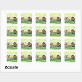 Tanzania Lions Safari op Stickers (Vel)
