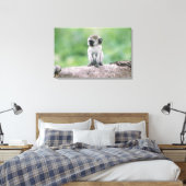 Tanzania, Ngorogoro-krater. Sluiting van het wild Canvas Afdruk (Insitu (Slaapkamer))