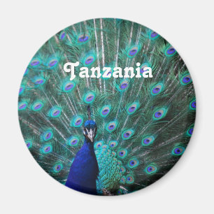 Tanzania Peacock Magneet