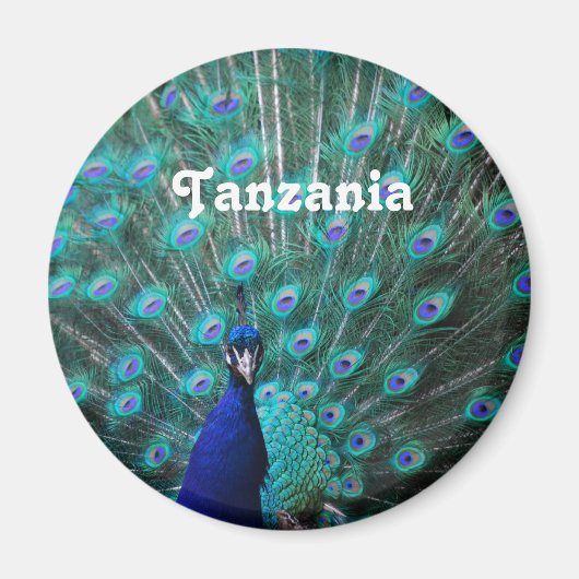 Tanzania Peacock Magneet (Voorkant)