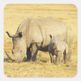 Tanzania Rhino Safari over Stickers