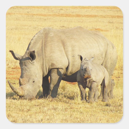 Tanzania Rhino Safari over Stickers (Voorkant)