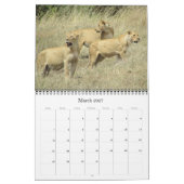 Tanzania safari 2026 kalender (Mar 2027)