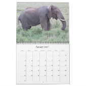 Tanzania safari 2026 kalender (Jan 2027)