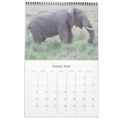 tanzania safari kalender (Jan 2026)