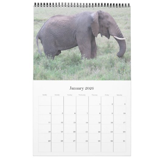 tanzania safari kalender (Jan 2026)