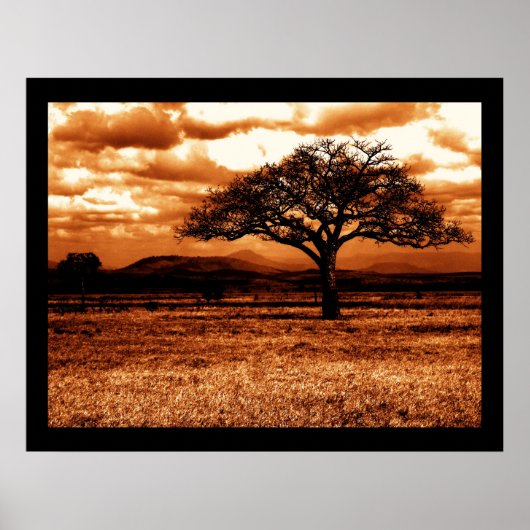 Tanzania Safari Poster (Voorkant)