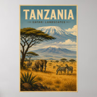Tanzania Safari Zebra Illustratie Reis Kunst
