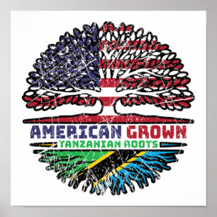 Tanzania Tanzania US American USA Verenigde Staten Poster