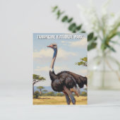 Tanzania Tarangire National Park Zebra Briefkaart (Staand voorkant)