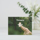 Tanzaniaanse Giraffe Briefkaart (Staand voorkant)