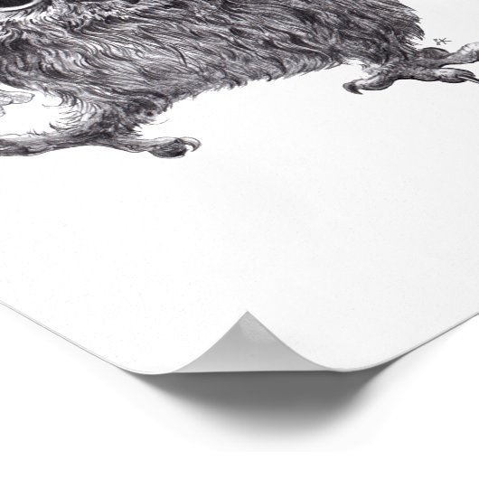 Tanzende Eule mit roter Feder Poster (Hoek)