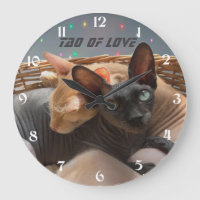 Tao of Love - Twee Sphynx katten gepersonaliseerd