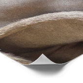 Tao of Love - Twee Sphynx katten gepersonaliseerd Poster (Hoek)