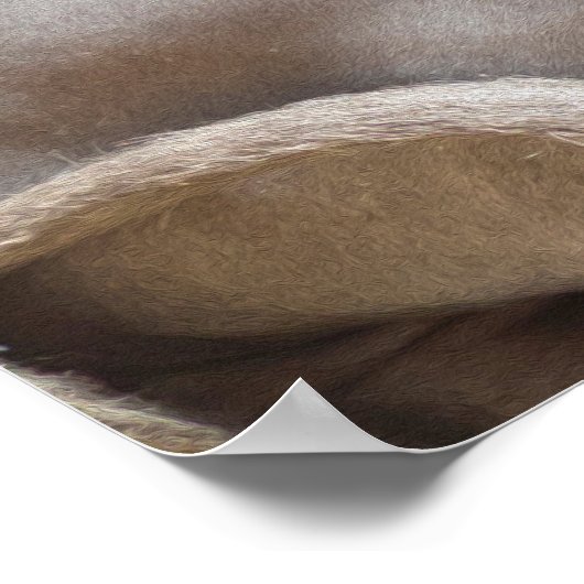 Tao of Love - Twee Sphynx katten gepersonaliseerd Poster (Hoek)