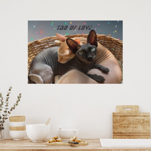 Tao of Love - Twee Sphynx katten gepersonaliseerd Poster (Keuken)