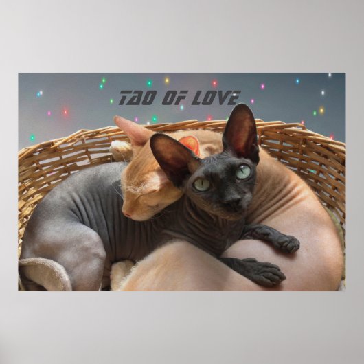 Tao of Love - Twee Sphynx katten gepersonaliseerd Poster (Voorkant)