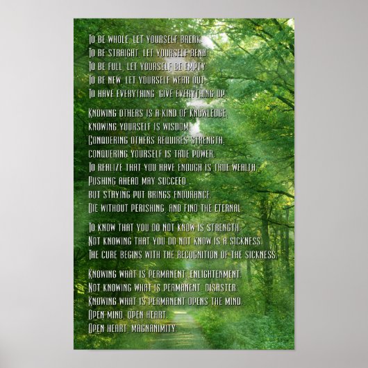 TAO POSTER (Voorkant)