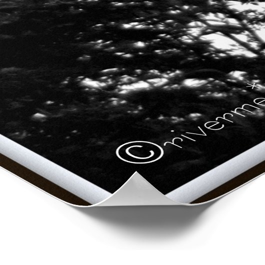 Tao Te Ching/Sunset Tree B&W-fotografie Poster (Hoek)