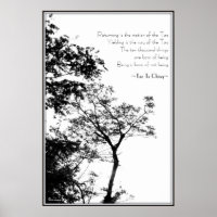 Tao Te Ching/Sunset Tree B&W-fotografie