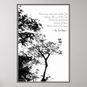 Tao Te Ching/Sunset Tree B&W-fotografie Poster