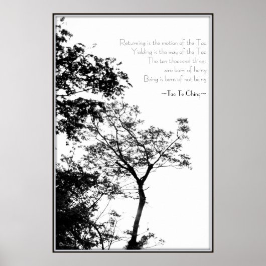 Tao Te Ching/Sunset Tree B&W-fotografie Poster (Voorkant)